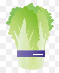 Napa Cabbage Clipart - Fresh Emoji