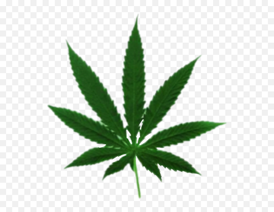 Marijuana Leaf Emoji,Pot Leaf Emoji Android