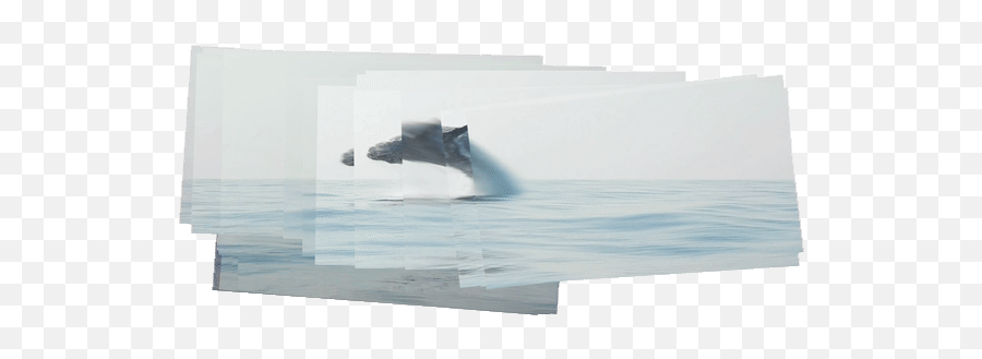 Top Blue Whales Stickers For Android U0026 Ios Gfycat - Sea Emoji,Blue Whale Emoji
