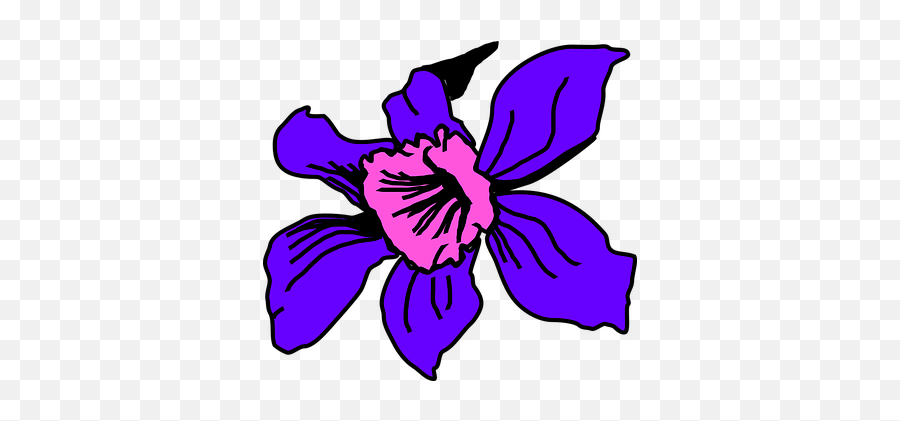 100 Free Pink Plant U0026 Flower Vectors - Pixabay Dibujos De Orquidea Colombiana Emoji,Sakura Flower Emoji