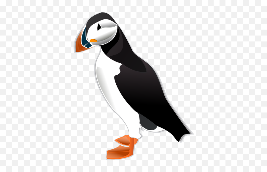 Puffin Bird Vector Illustration - Clipart Puffin Emoji,Raven Bird Emoji