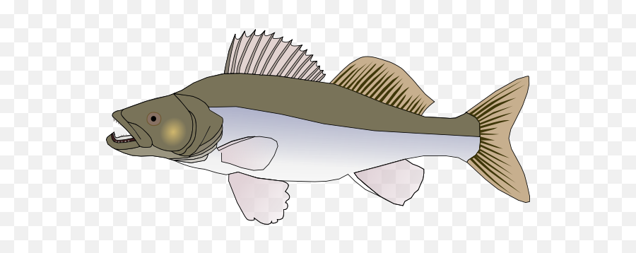 Sander Fish Vector - Big Fish Clipart Emoji,Raccoon Emoji Copy