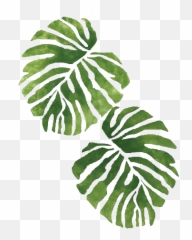 palms bannanaleaves beach summervibes watercolor - Watercolor Tropical Plant Png Emoji
