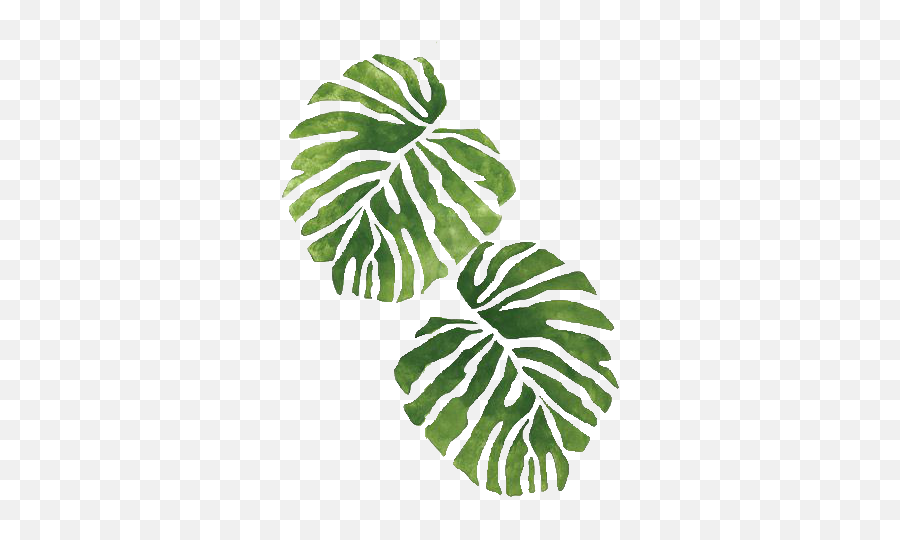 Palms Bannanaleaves Beach Summervibes Summer Watercolor - Watercolor Tropical Plant Png Emoji,Palms Up Emoji