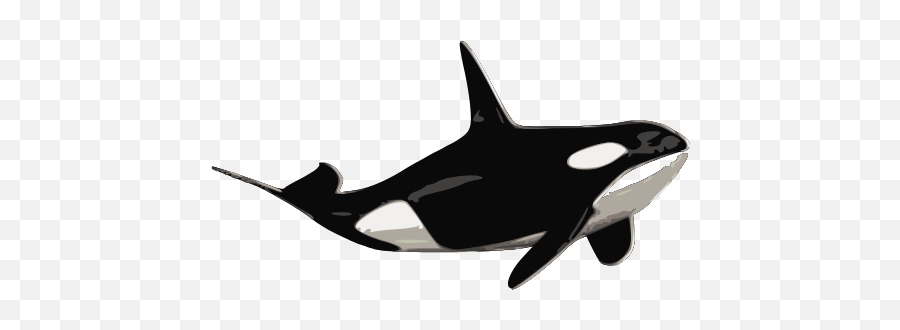 Gtsport - Killer Whale Emoji,Orca Emoji