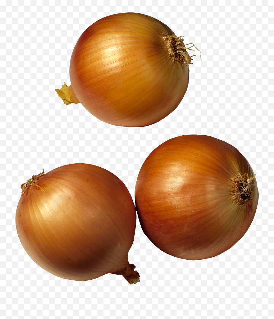 Face Clipart Onion Face Onion Transparent Free For Download - Onions No Background Emoji,Onion Emoji