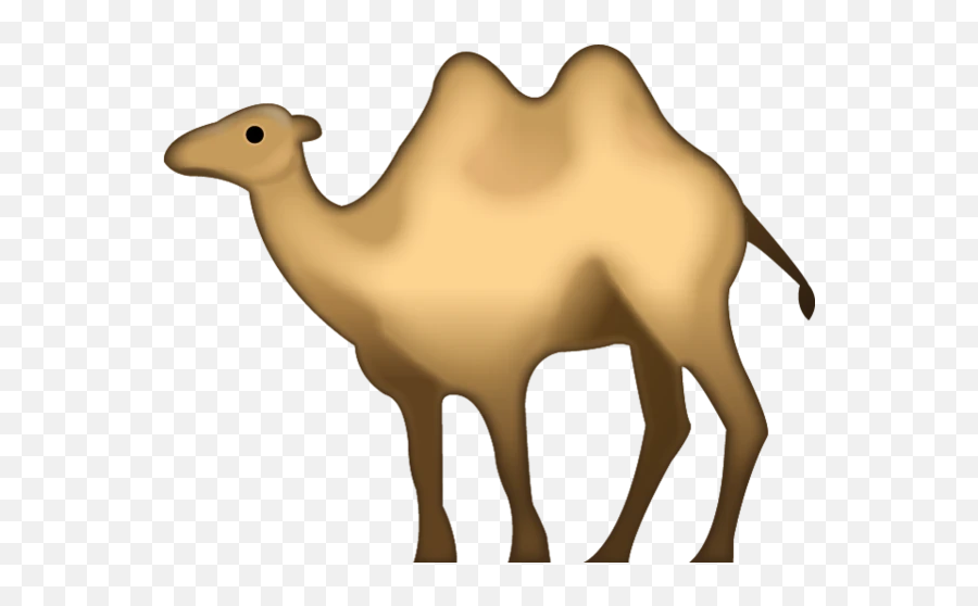 Camel Emoji - Two Humped Camel Emoji,Camel Emoji