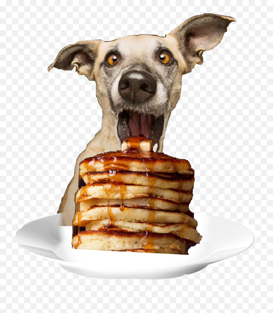 Pancakes Stickers Dog Food Dbanta2018 - Noticias De Animales Buenas Emoji,Dog Food Emoji