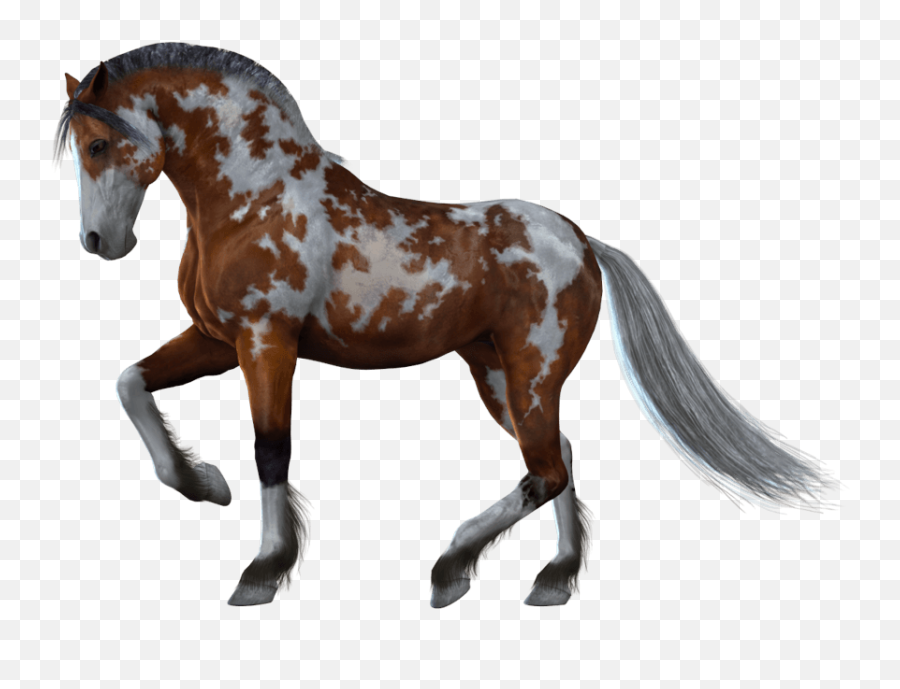 Download Horse Png Image Hq Png Image - Horses With No Background Emoji,Horse Airplane Emoji