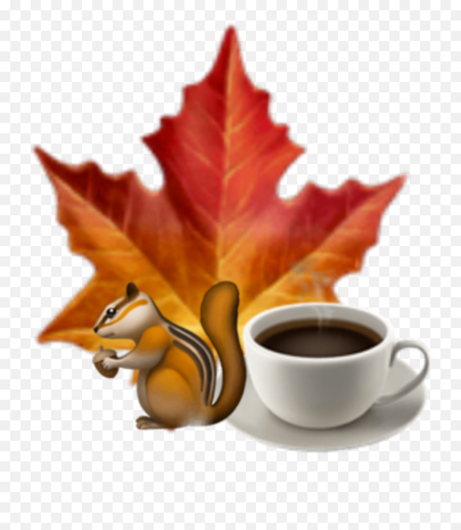 Autumn Squirrel Leaf Coffee Emoji - Orange Emoji Crown Png,Squirrel Emoji