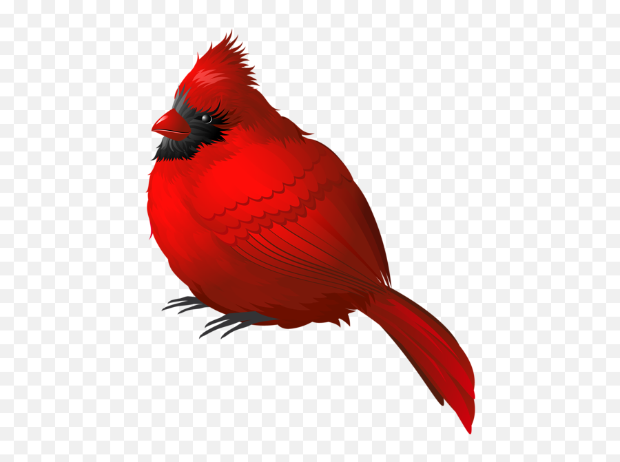 Cardinal Clipart Png - Clip Art Cardinal Transparent Background Emoji,Cardinals Emoji