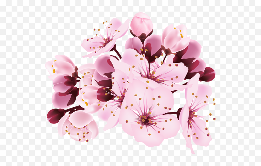 Cherry Blossom Flower Png Cherry Blossom Flower Png - Cherry Blossoms Transparent Background Emoji,Cherry Blossom Emoji