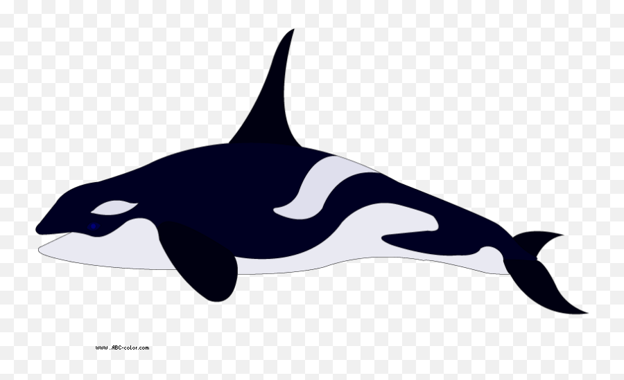 Free Killer Whale Transparent Download - Orca Coloring Book Emoji,Orca Emoji