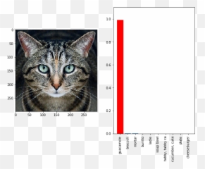 Be Fired Over Its Massive Data Breach - Google Ai Cat Guacamole Emoji