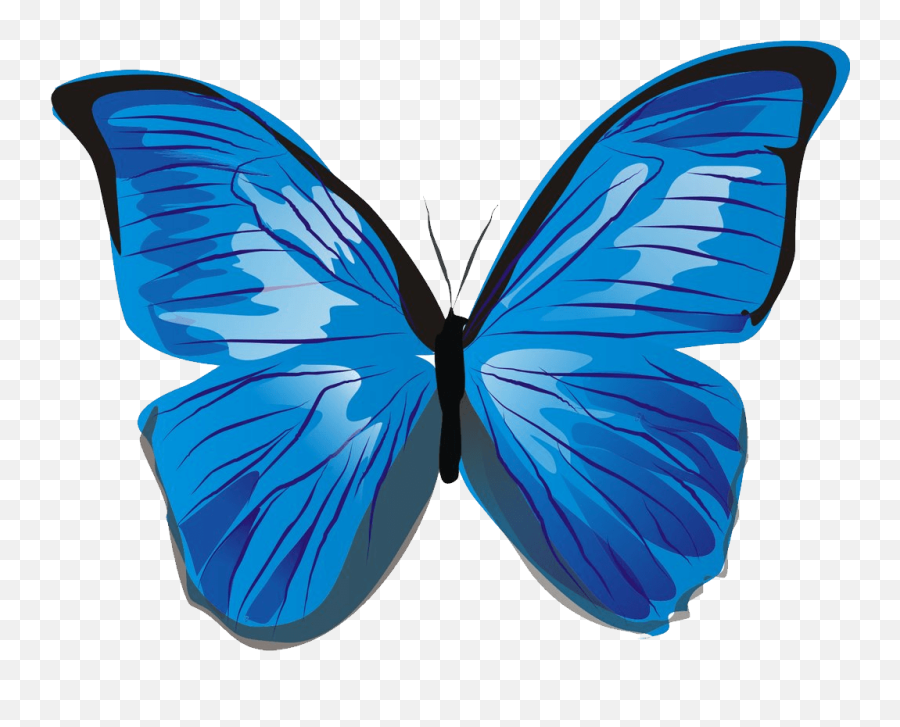 Download Blue Butterfly Png Image Hq Png Image - Blue Butterfly Clipart Png Emoji,Blue Butterfly Emoji