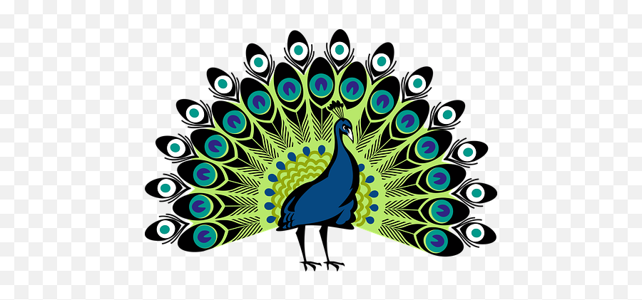 Free Peacock Feathers Peacock - Peacock Clipart Png Emoji,Peacock Emoticon