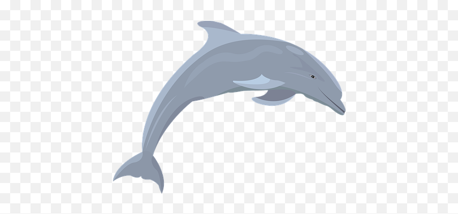 Free Dolphin Mammal Vectors - Lumba Lumba Background Transparan Emoji,Dolphin Emoji