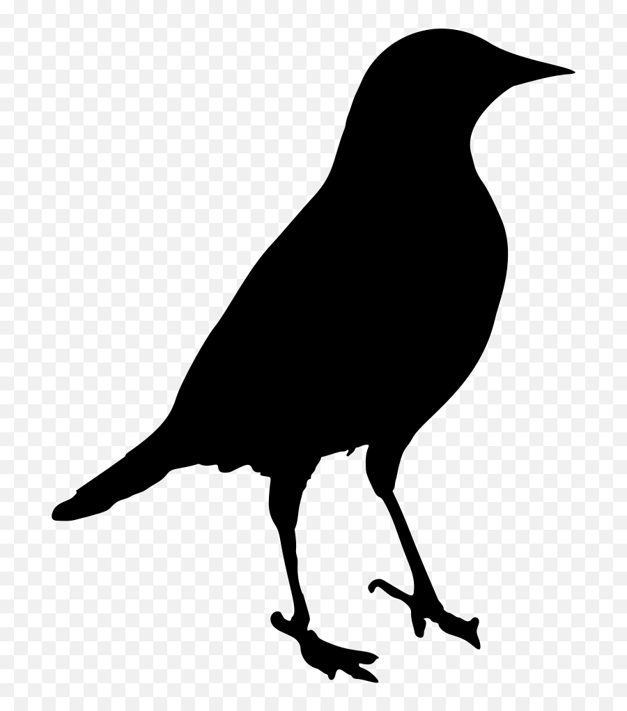 Crow Clipart Blackbird Crow Blackbird Transparent Free For - Blackbird Png Emoji,Black Bird Emoji