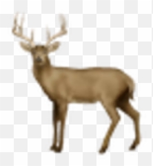 32 - Android Deer Emoji,Harambe Emoji