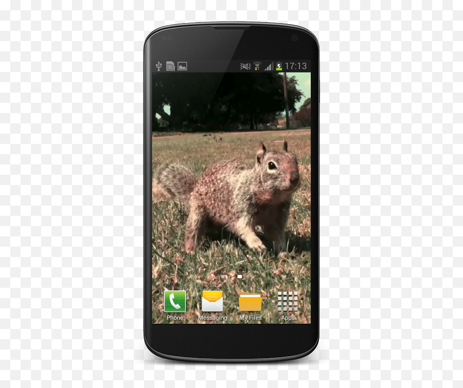 Little Squirrel 3d Wallpaper 1 - Smartphone Emoji,Squirrel Emoji Android