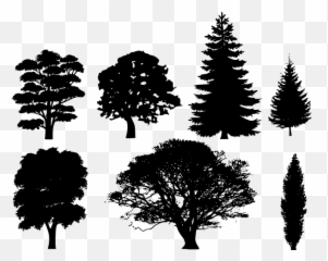 Silhouettes Of Trees Vector Drawing - Draw A Tree Silhouette Emoji,Pine Tree Emoji
