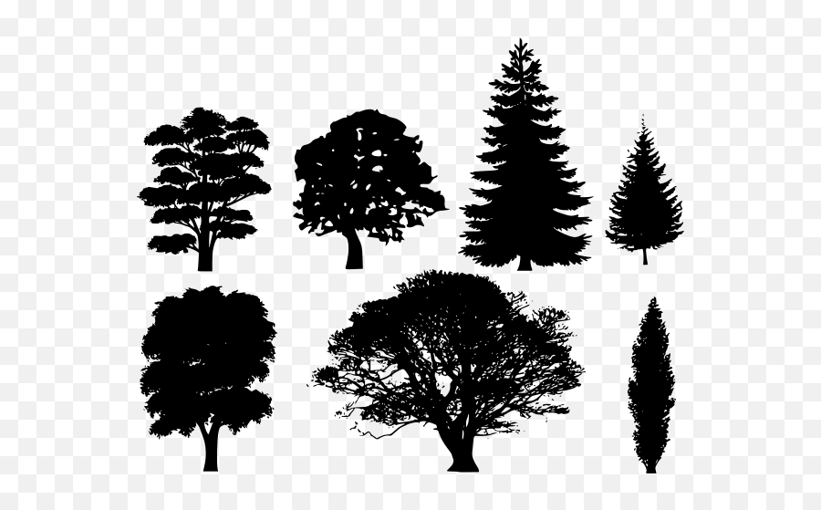 Silhouettes Of Trees Vector Drawing - Draw A Tree Silhouette Emoji,Pine Tree Emoji