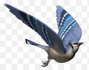 Top He Is The Most Beautiful Stickers - Flying Bird Gif Transparent Background Emoji,Bluebird Emoji