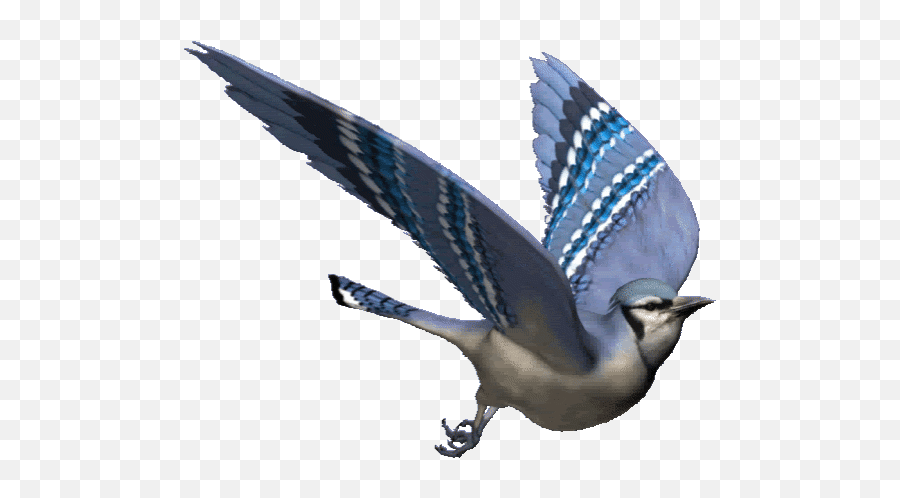 Top He Is The Most Beautiful Stickers - Flying Bird Gif Transparent Background Emoji,Bluebird Emoji