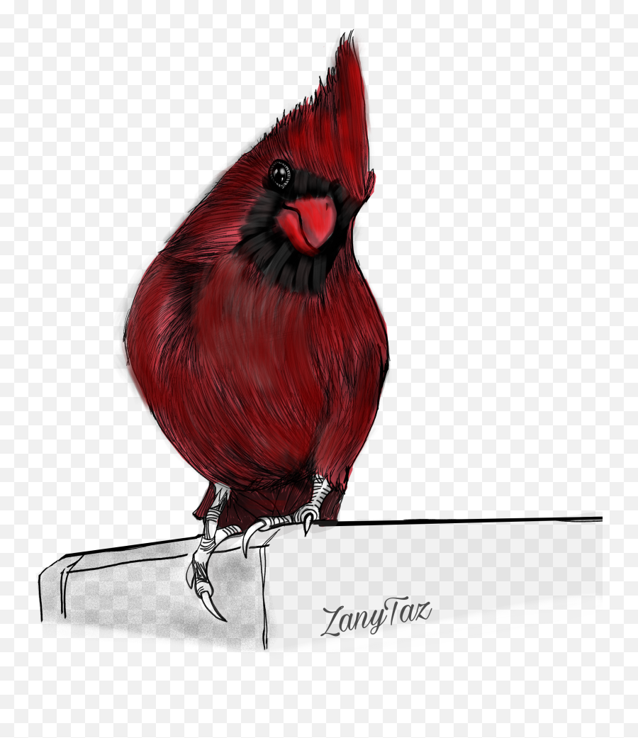 Trending Cardinal Stickers - Northern Cardinal Emoji,Cardinals Emoji