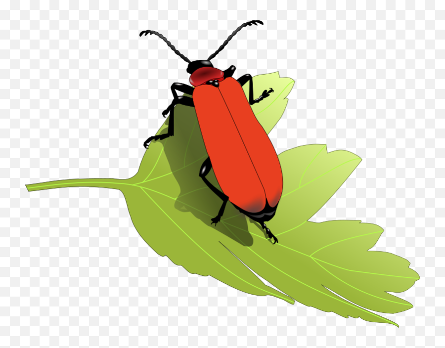 Insect Clipart Image 2 - Clipartix Clip Art Insects Emoji,Longhorn Emoji