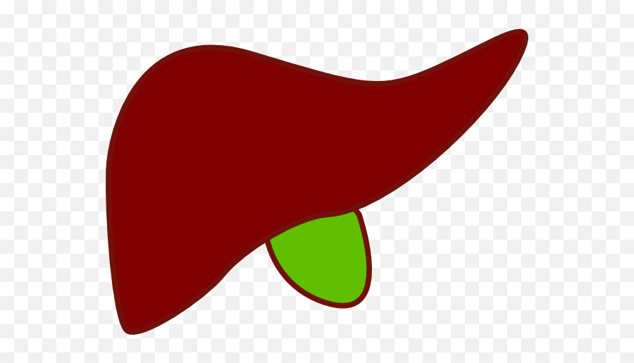Clear Background Liver Clipart - Liver Clipart No Background Emoji,Liver Emoji