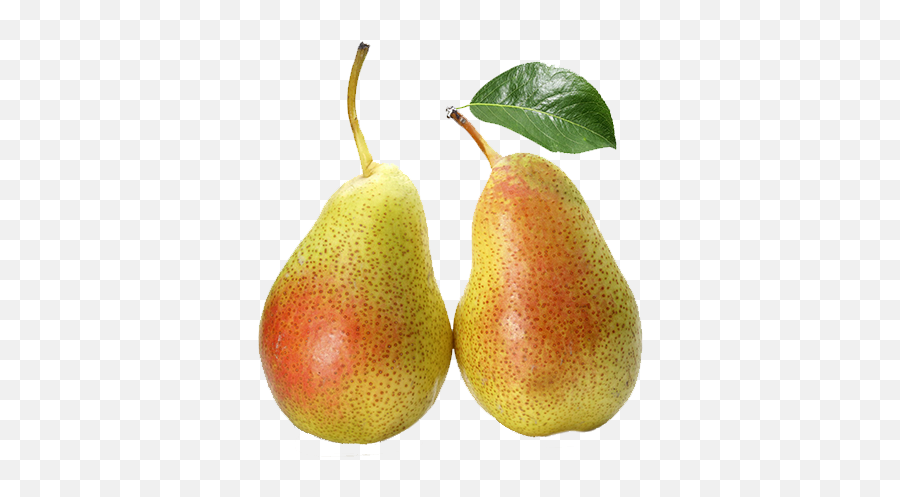 Free Png Animations Download Free Clip Art Free Clip Art - Pear Emoji,Pear Emoji