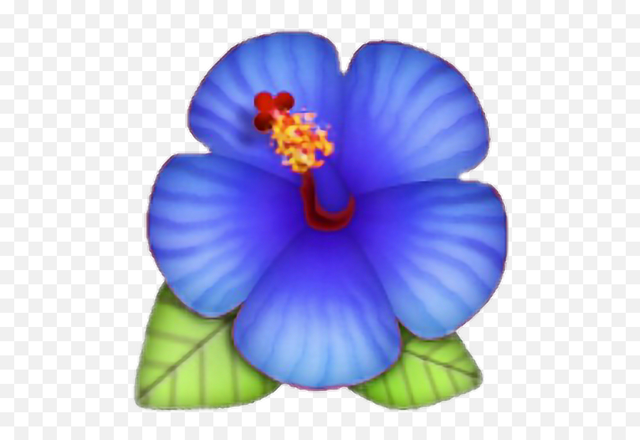 Download Hd Flower Emoji Lotus Blue Rose Morelife Png - Transparent Background Flower Emoji,Hibiscus Emoji