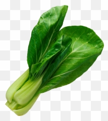 Salad Leaf Png Image - Vegetable Png Emoji,Party Favor Emoji
