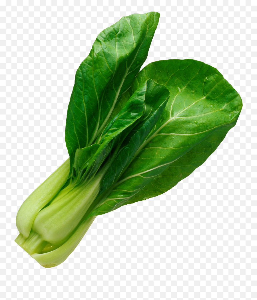 Salad Leaf Png Image - Vegetable Png Emoji,Party Favor Emoji