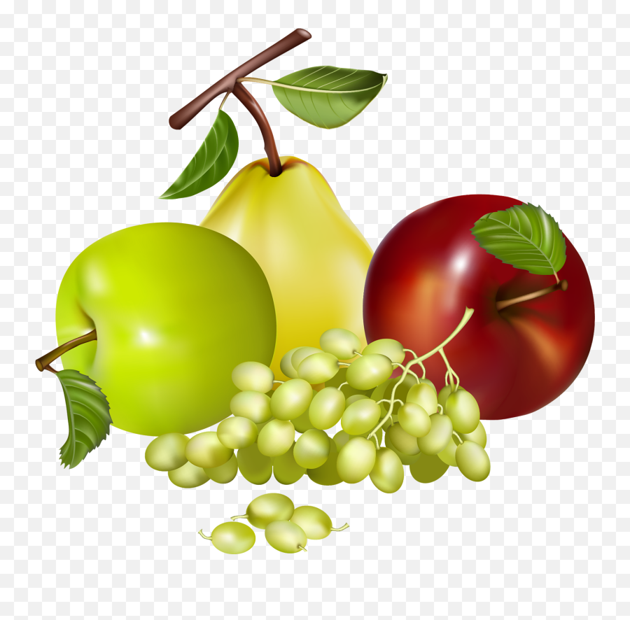 Tree Fruit Graphic Freeuse Png Files - Fruit Clipart Png Emoji,Fruit Emoji Names