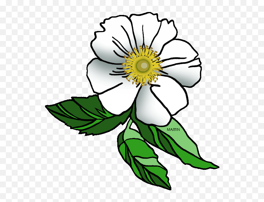 Clipart Georgia State Flower - Cherokee Rose Clip Art Emoji,Georgia State Flag Emoji