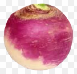 Popular And Trending - Imagen De Nabo Fondo Blanco Emoji,Turnip Emoji