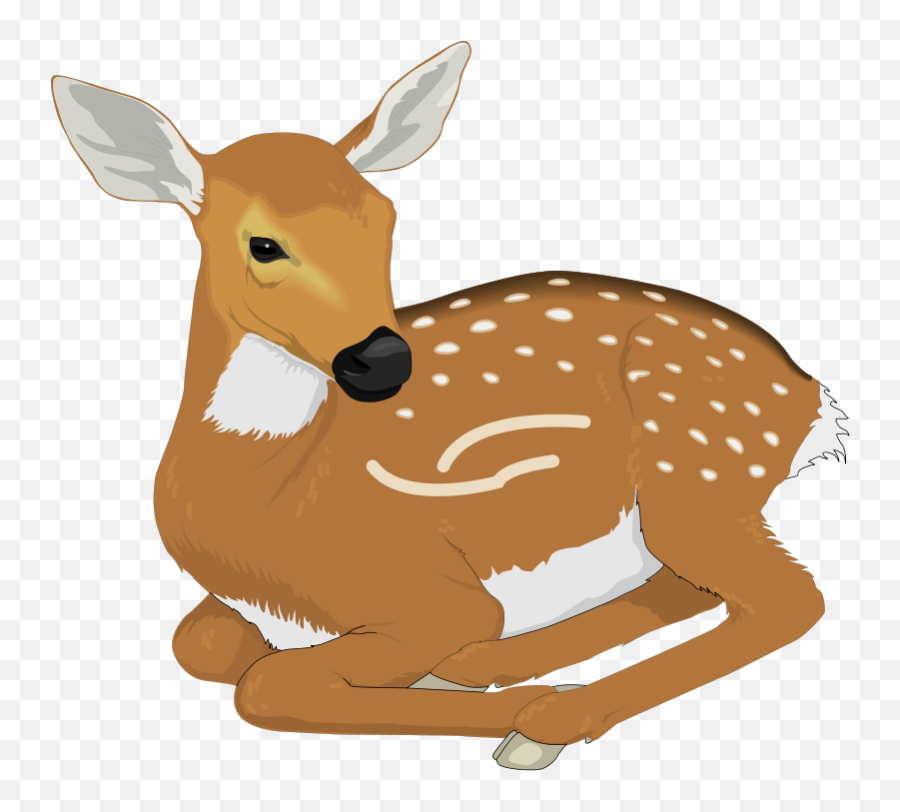 Deer Clipart Free Hunting Free Clipart Images - Baby Deer Clipart Emoji,Hunting Emoji