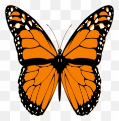 Orange Butterfly Butterfly Images - Butterfly Clipart Png Emoji,Kodak Emoji