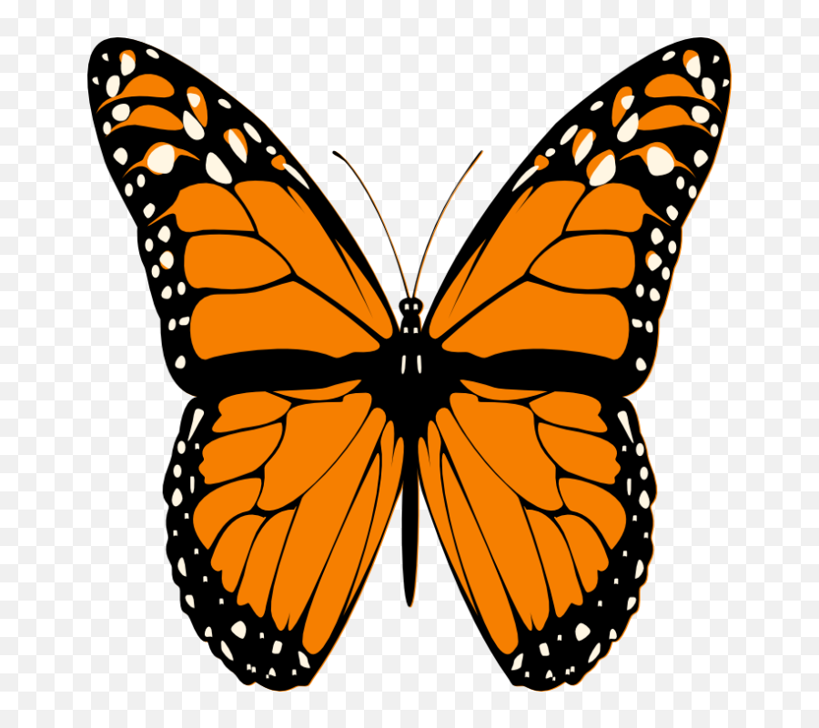 Orange Butterfly Butterfly Images - Butterfly Clipart Png Emoji,Kodak Emoji