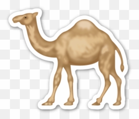 Pin - Emoji Camel,Camel Emoji
