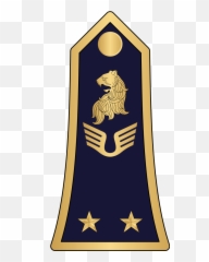 14 - Emblem Emoji,Cameroon Flag Emoji