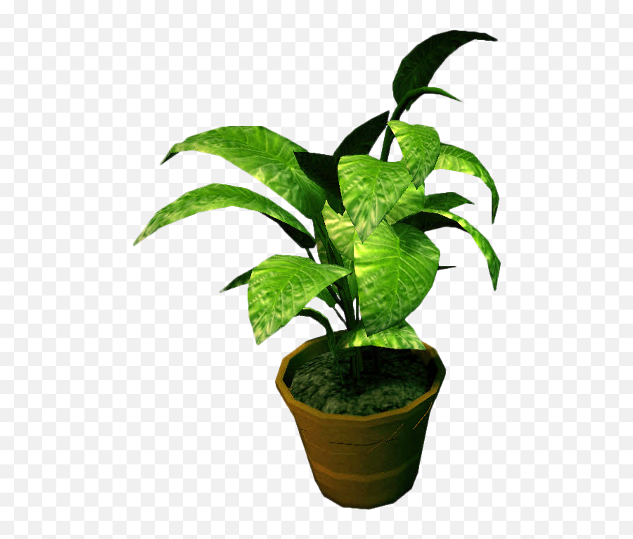 Potted Plant Transparent Png Clipart - Transparent Background Potted Plants Png Emoji,Potted Plant Emoji