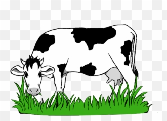 Grazing High Quality - Cow Eating Grass Clipart Black And White Emoji