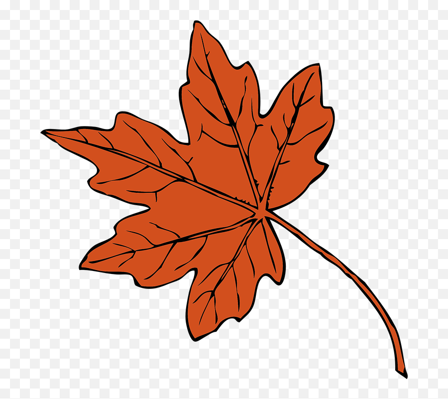 Free Oak Tree Vectors - Maple Leaves Clipart Emoji,Maple Leaf Emoticon