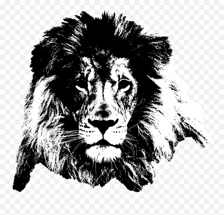 4d Drawing Mind Blowing Picture - Black And White Lion Png Emoji,Emoji Mind Blown