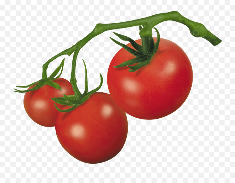 Free No Vegetables Cliparts Download - Tomatoes On The Vine Clipart Emoji,Find The Emoji Tomato