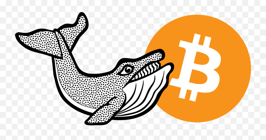 Bitcoin Whales Everything You Need To Know About Huge - Whale Alert Emoji,Whale Emoticon