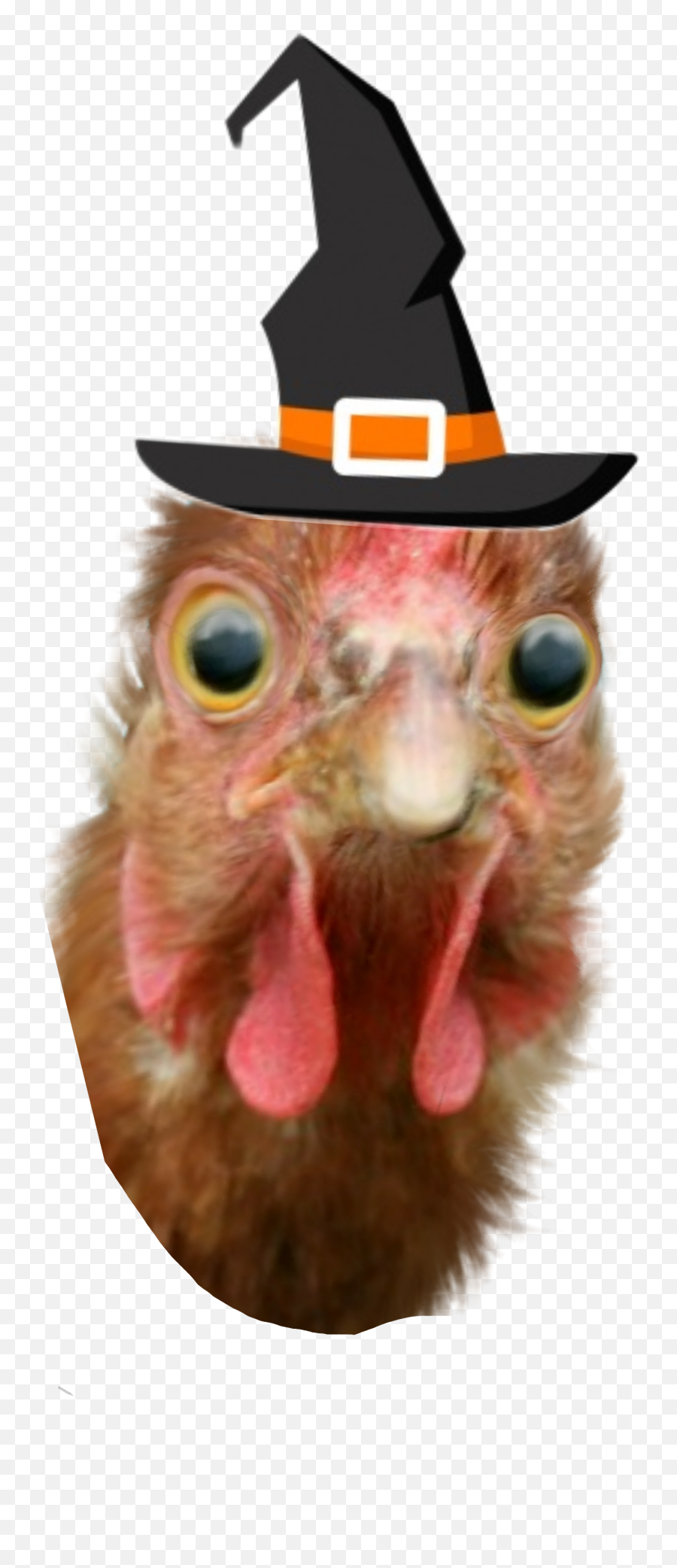 Chicken Witch Freetoedit Robullo - Sticker By Ro Turkey Emoji,Party And Chicken Emoji
